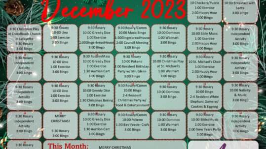 thumbnail of ACDN Calendar December 2023 FINAL